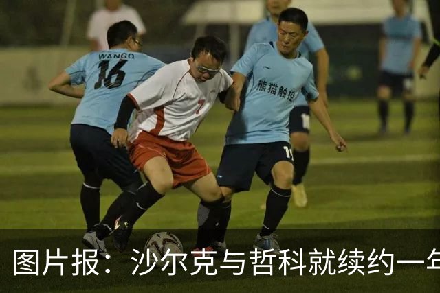 图片报：沙尔克与哲科就续约一年达成一致，年薪最高可达130万欧
